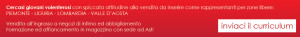 inviaci il curriculum